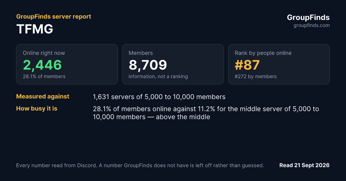 TFMG's GroupFinds server report