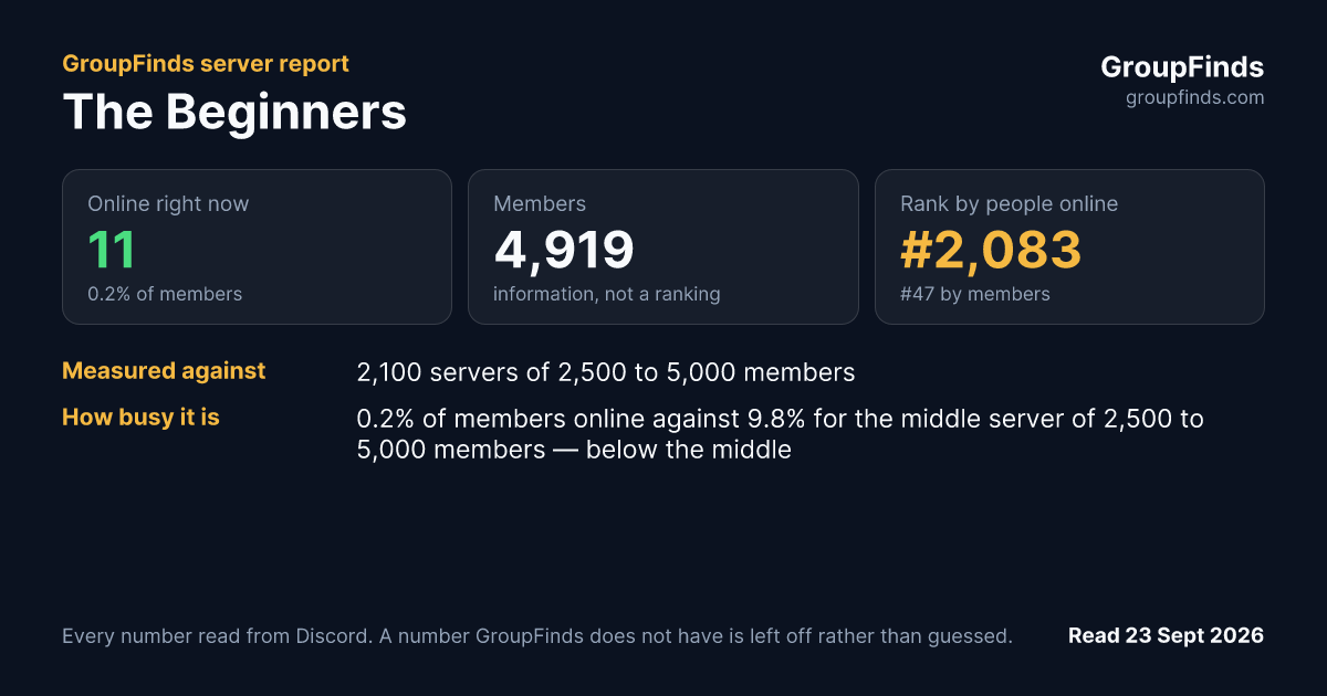 The Beginners's GroupFinds server report