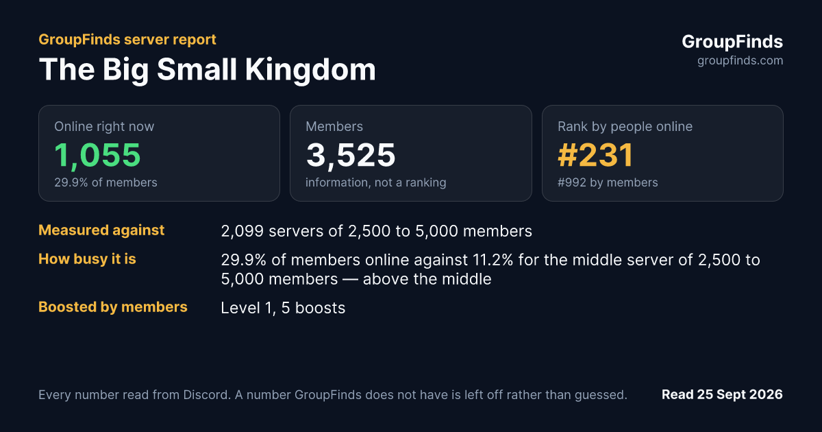 The Big Small Kingdom's GroupFinds server report