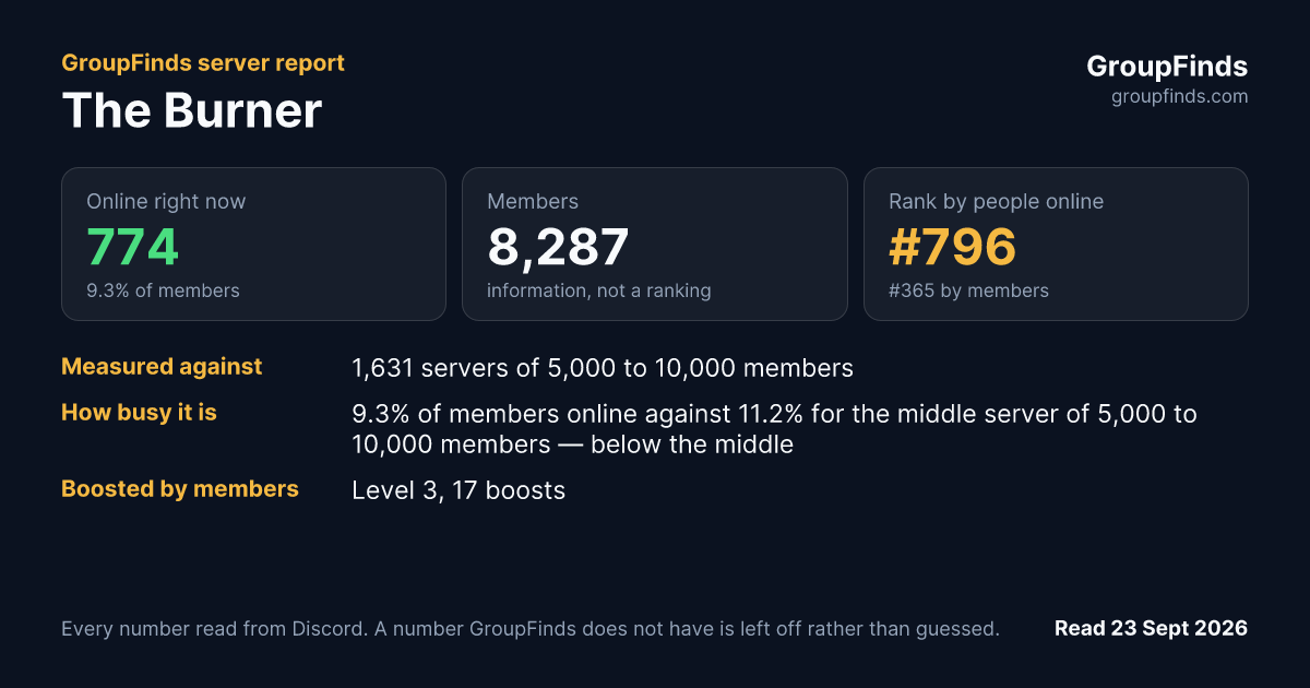 The Burner's GroupFinds server report