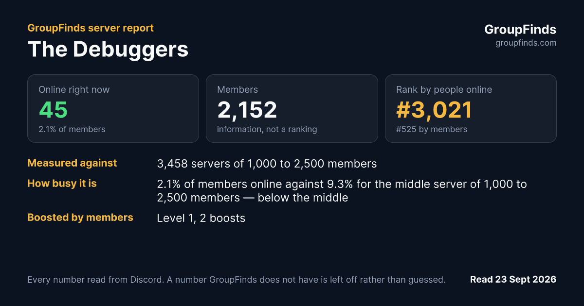 The Debuggers's GroupFinds server report