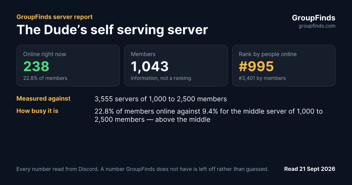 The Dude’s self serving server's GroupFinds server report