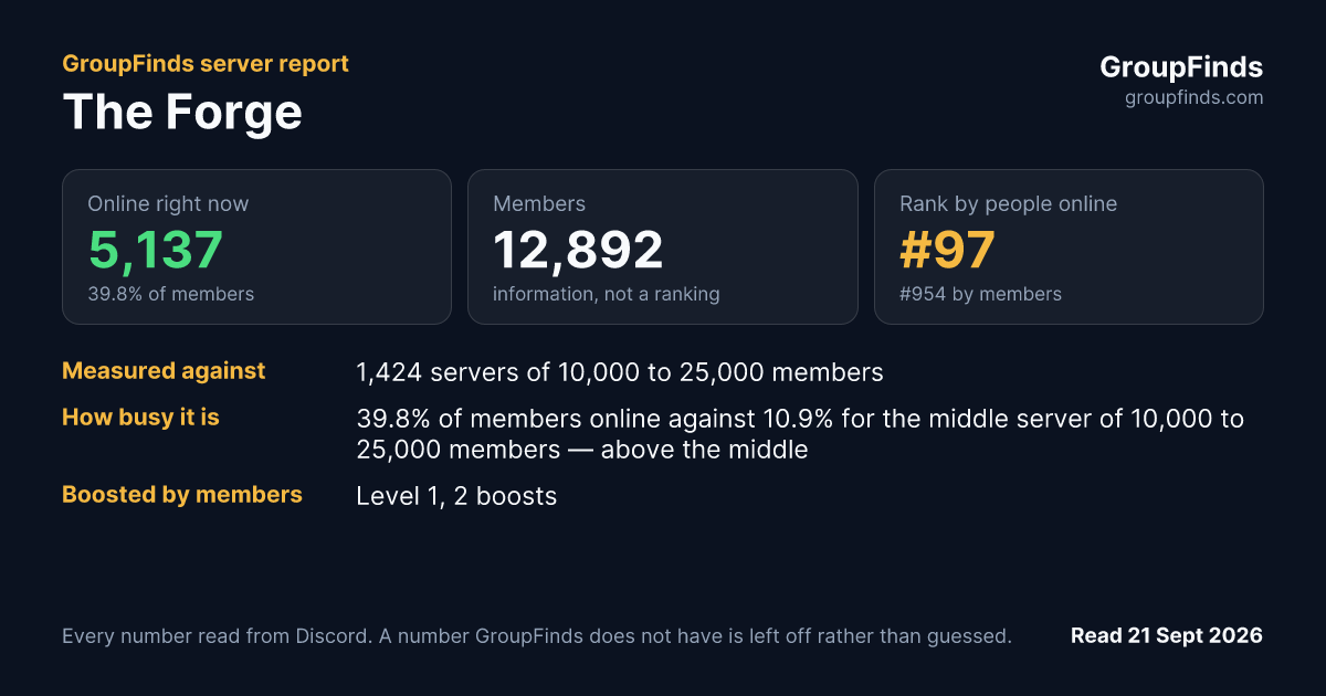 The Forge's GroupFinds server report