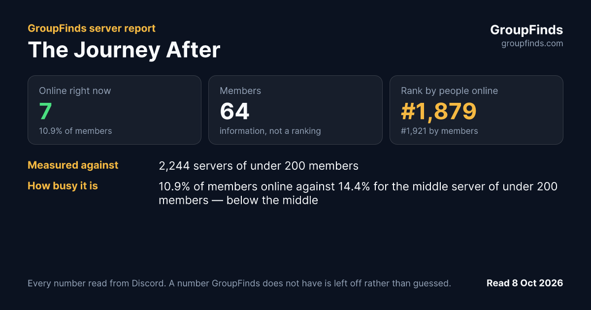 The Journey After's GroupFinds server report