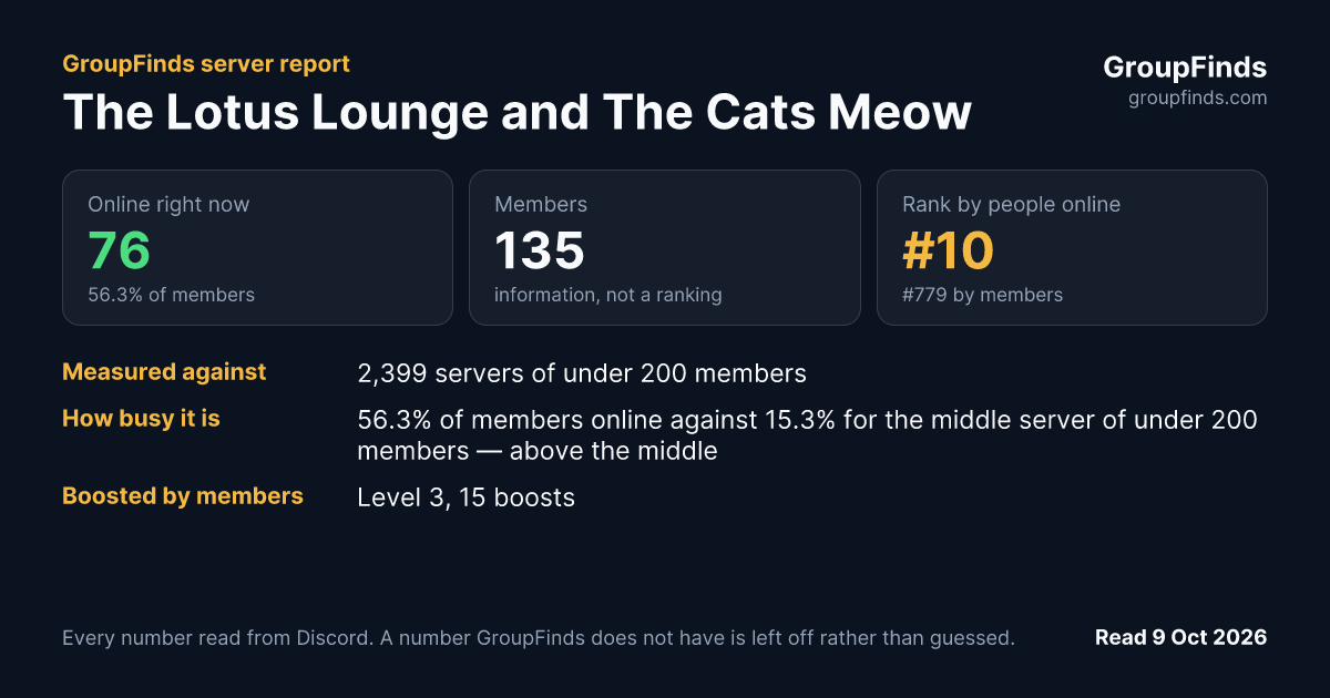 The Lotus Lounge and The Cats Meow's GroupFinds server report