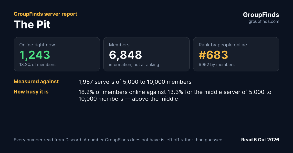 The Pit's GroupFinds server report