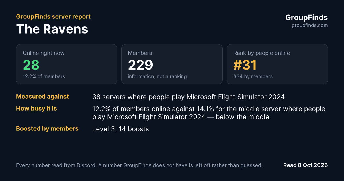 The Ravens's GroupFinds server report