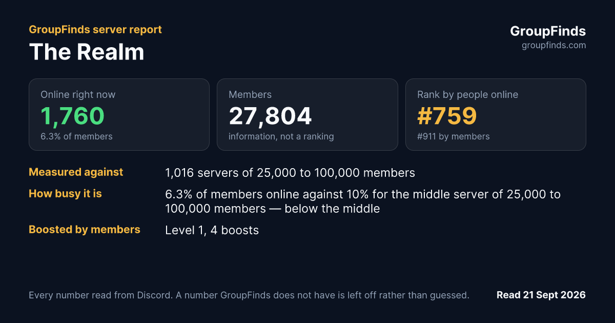 The Realm's GroupFinds server report