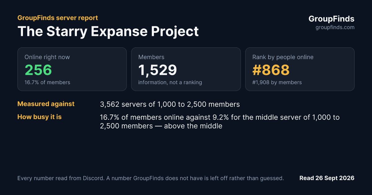 The Starry Expanse Project's GroupFinds server report