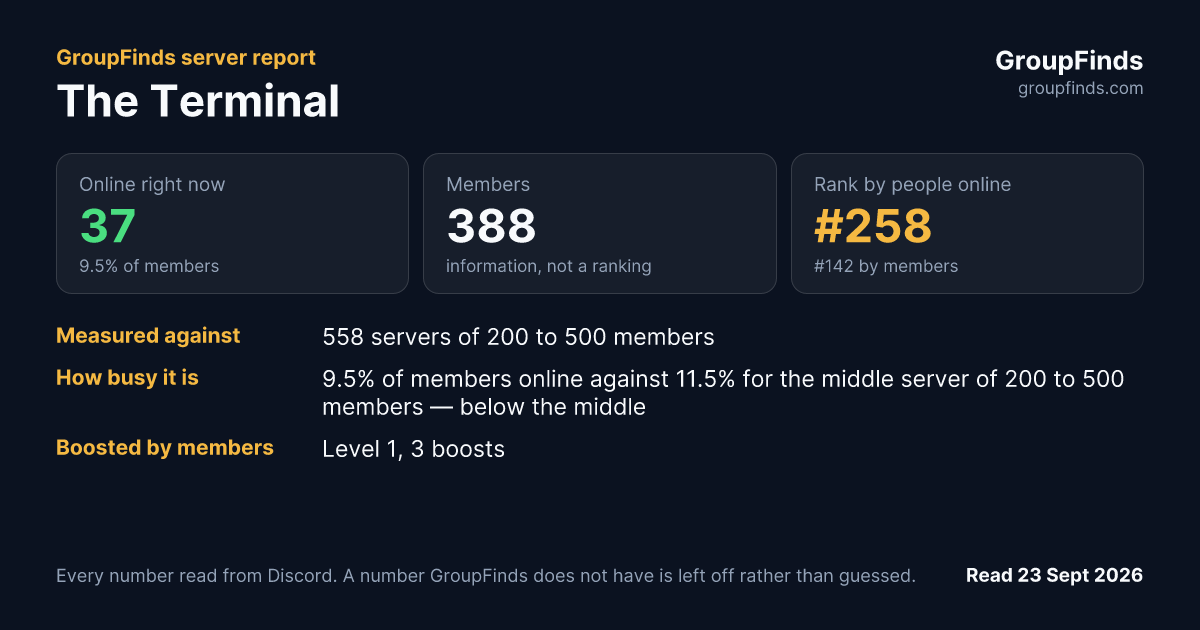 The Terminal's GroupFinds server report