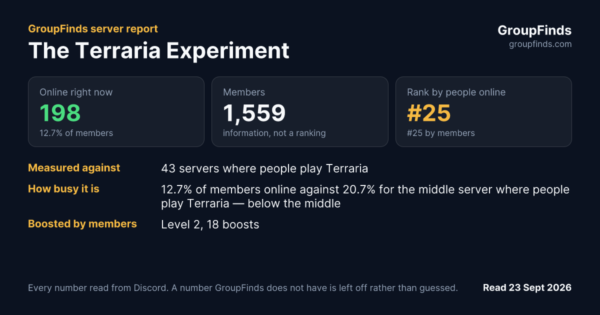 The Terraria Experiment's GroupFinds server report