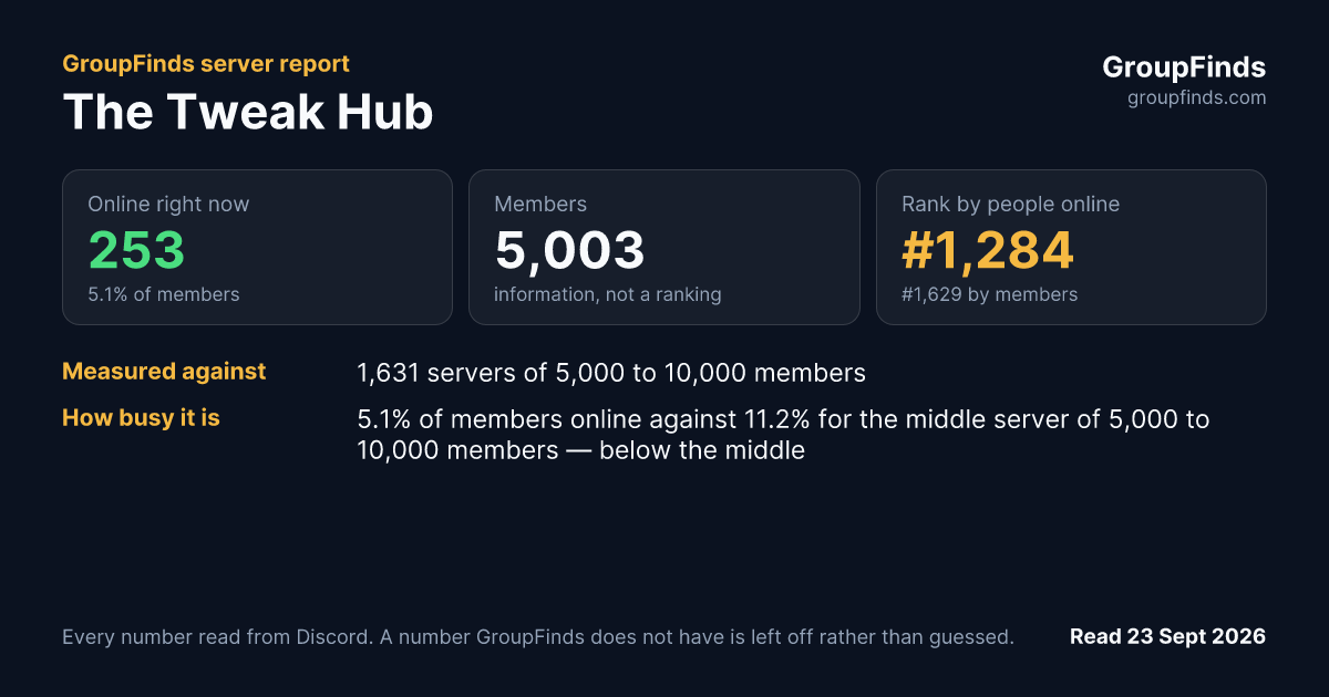 The Tweak Hub's GroupFinds server report