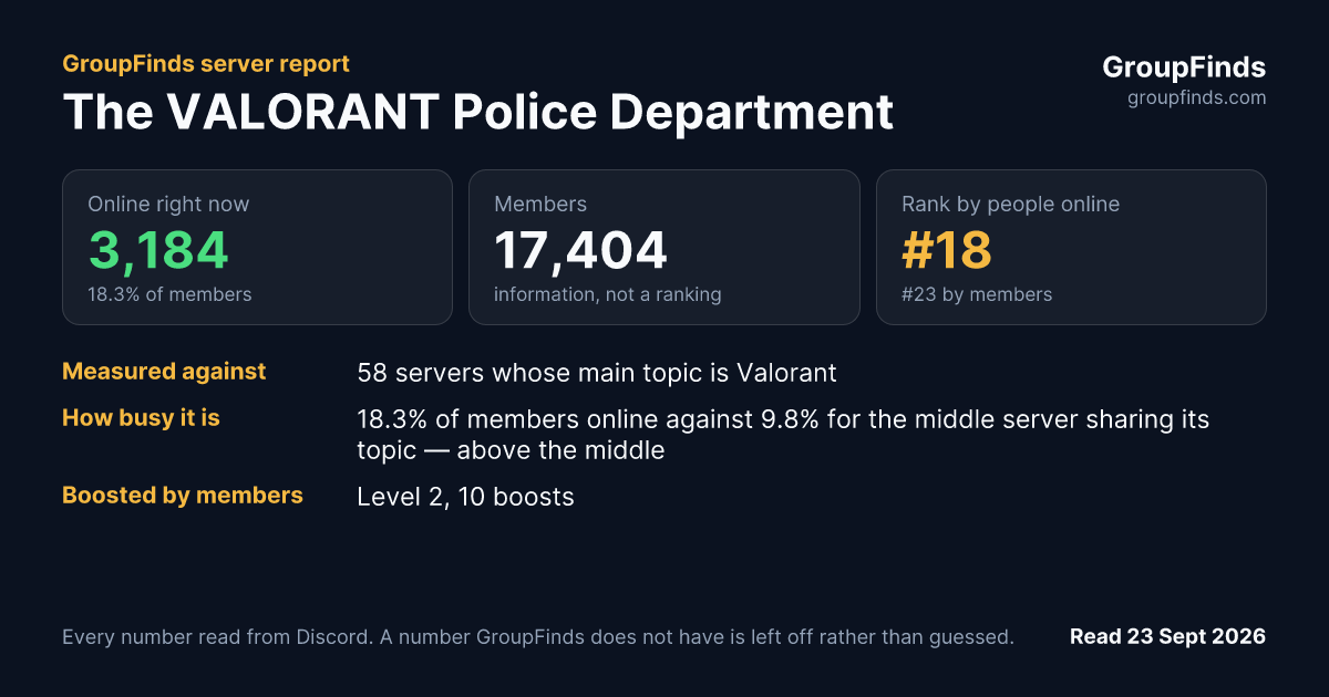 The VALORANT Police Department's GroupFinds server report