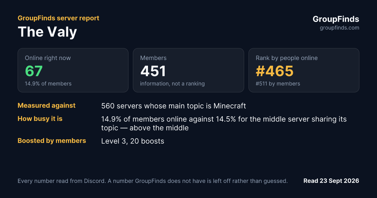 The Valy's GroupFinds server report