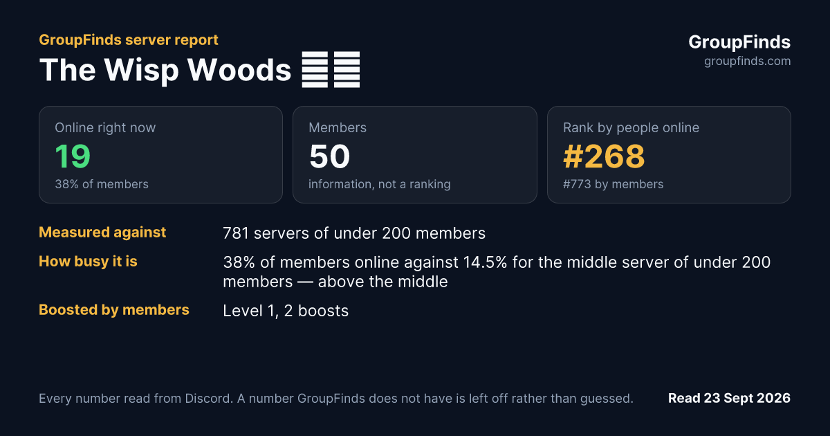 The Wisp Woods 🌲🌳's GroupFinds server report