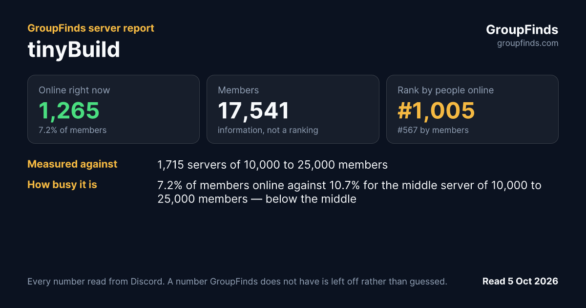 tinyBuild's GroupFinds server report