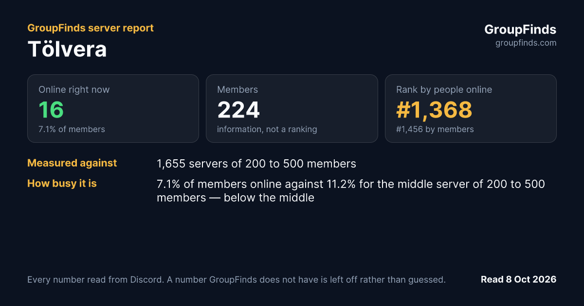 Tölvera's GroupFinds server report