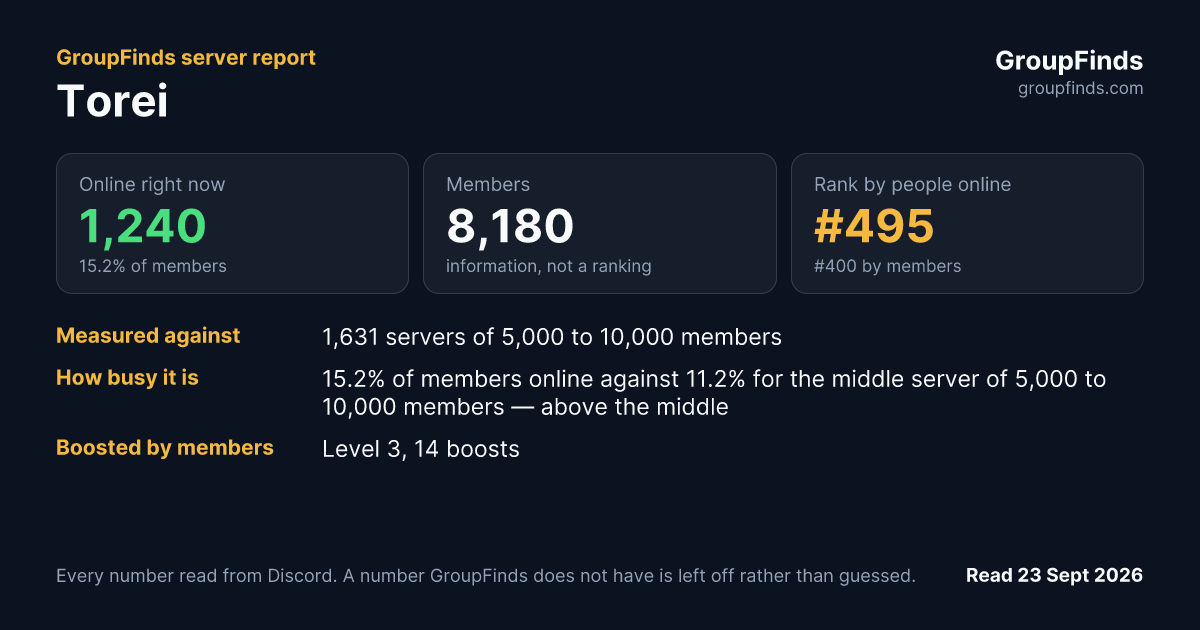 Torei's GroupFinds server report