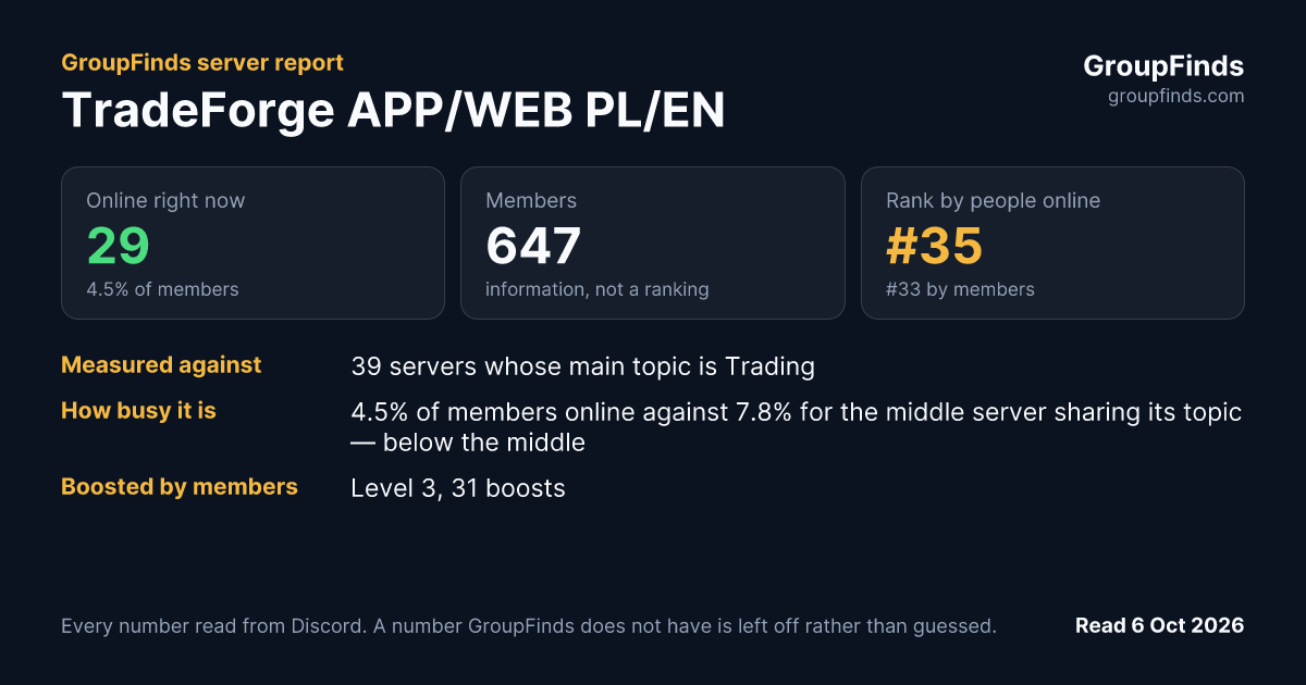 TradeForge APP/WEB PL/EN's GroupFinds server report