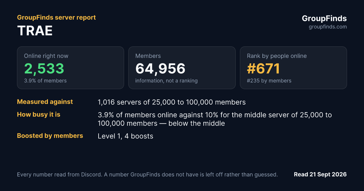 TRAE's GroupFinds server report
