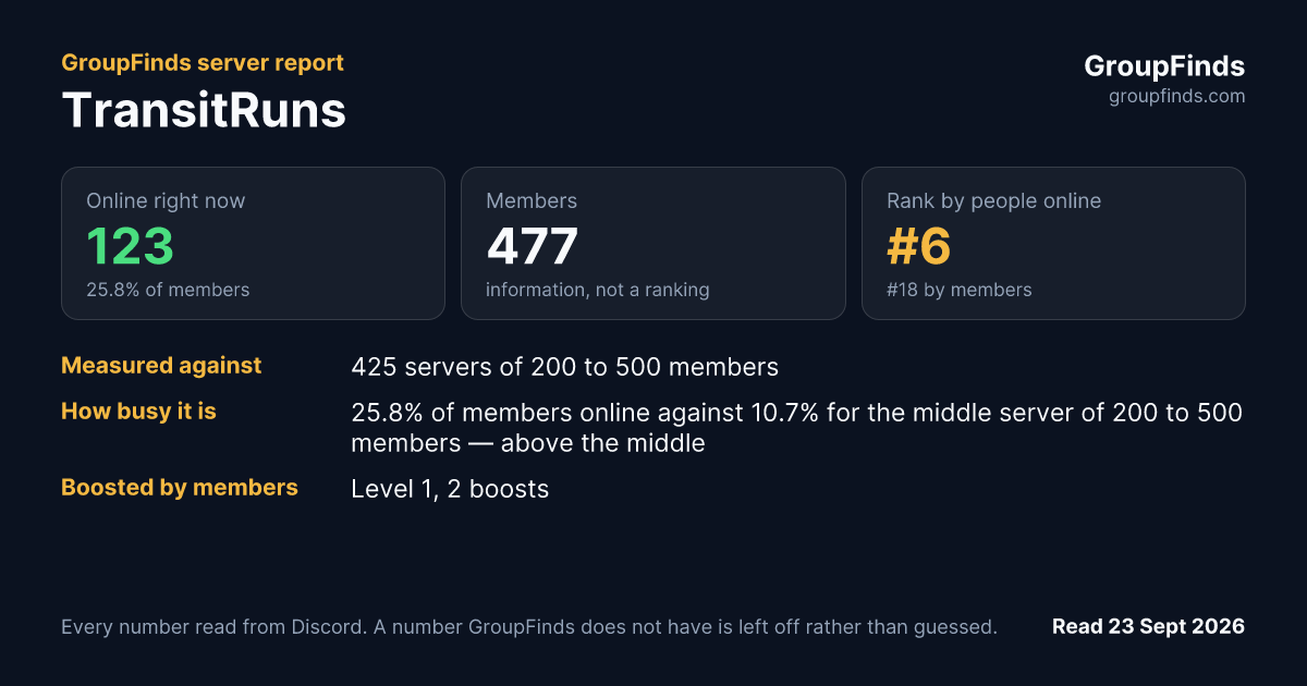 TransitRuns's GroupFinds server report