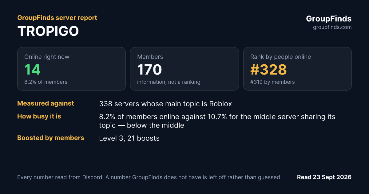 TROPIGO's GroupFinds server report
