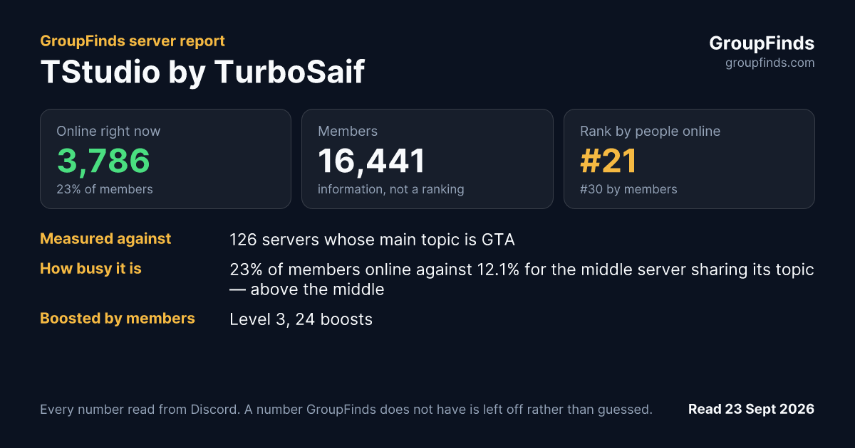 TStudio by TurboSaif's GroupFinds server report