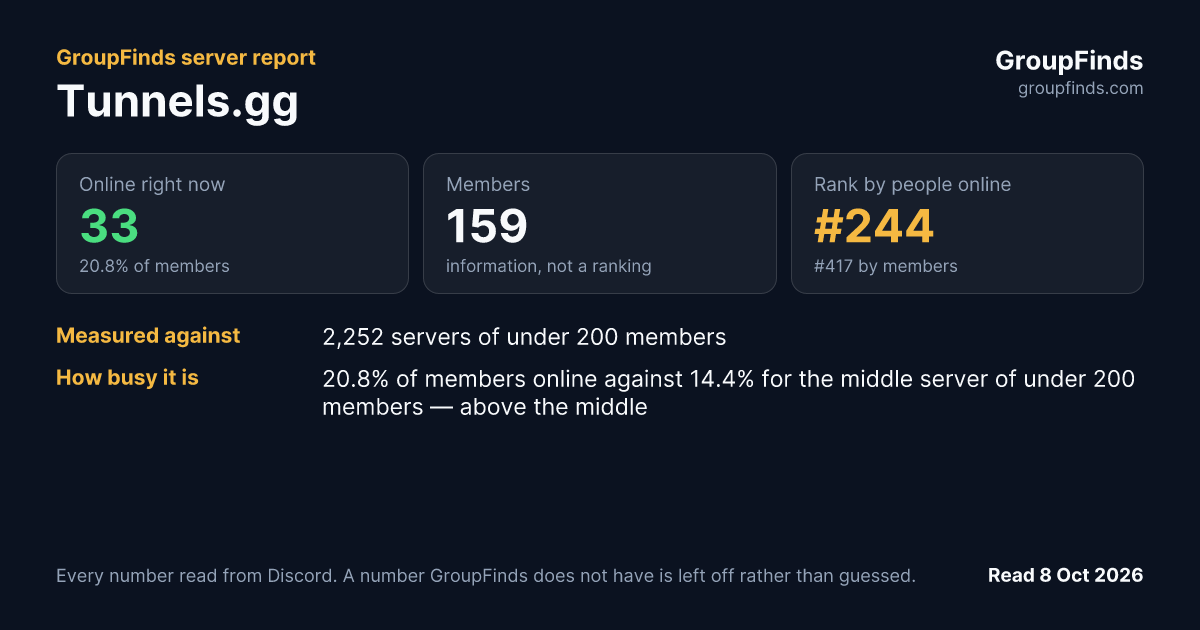 Tunnels.gg's GroupFinds server report