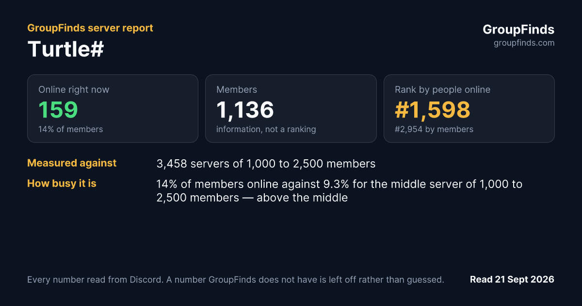 Turtle#'s GroupFinds server report