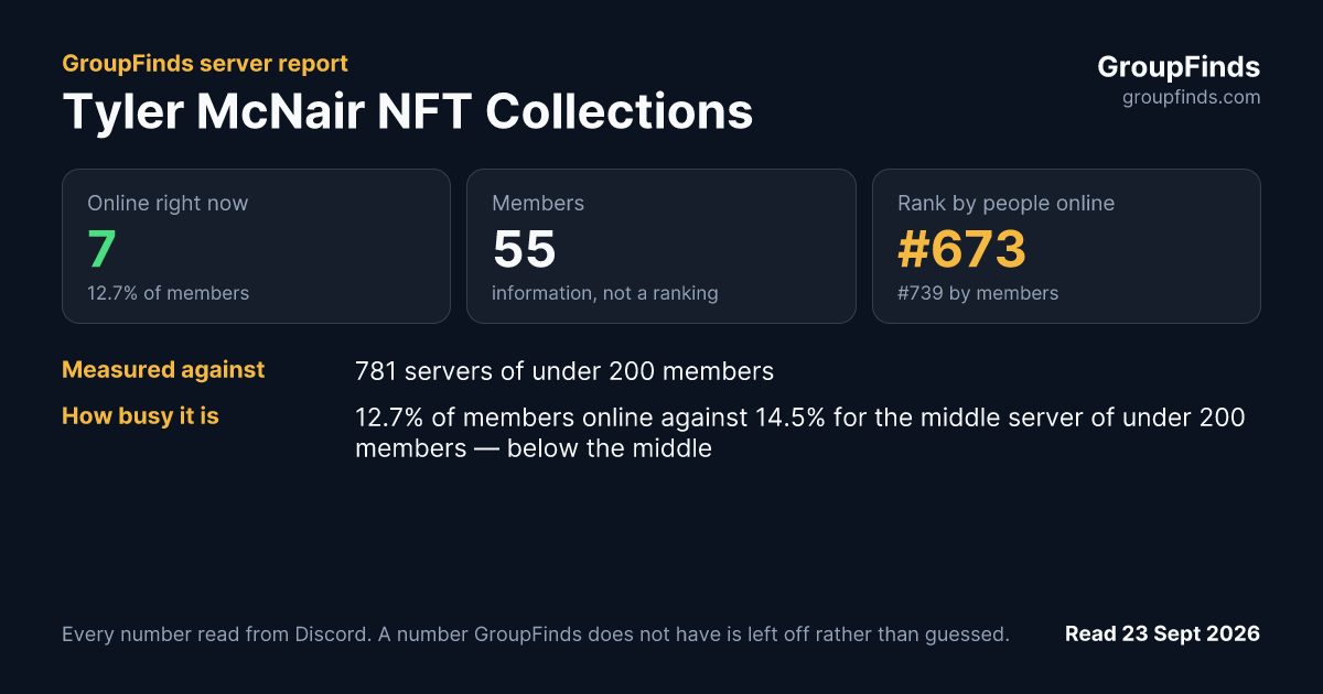 Tyler McNair NFT Collections's GroupFinds server report