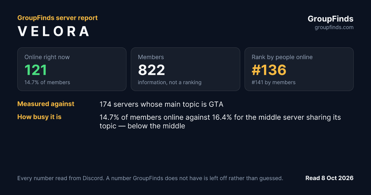 V E L O R A's GroupFinds server report