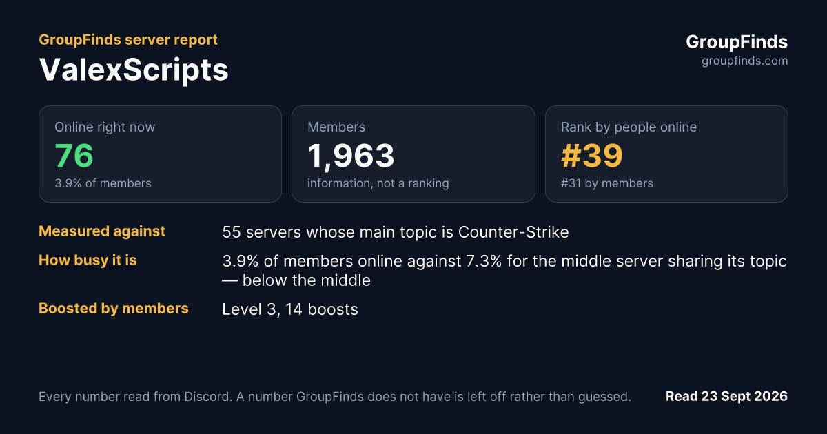 ValexScripts's GroupFinds server report