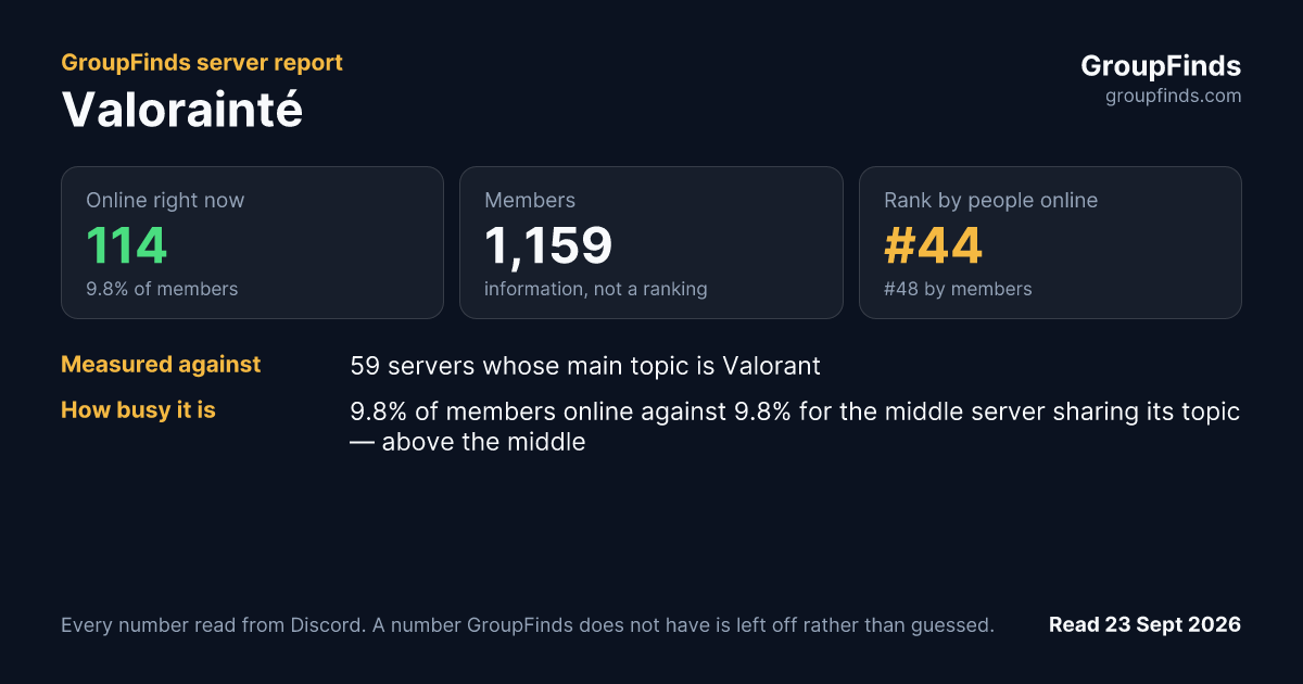 Valorainté's GroupFinds server report