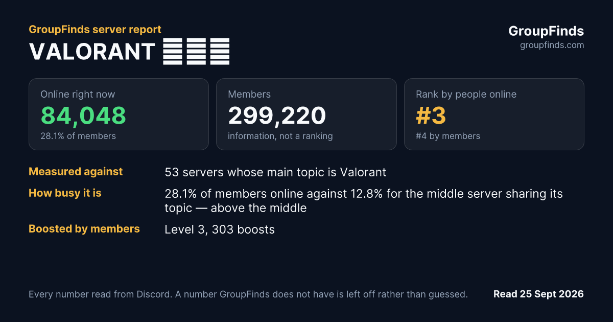 VALORANT СНГ's GroupFinds server report