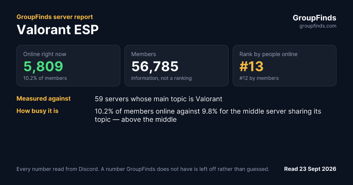 Valorant ESP's GroupFinds server report