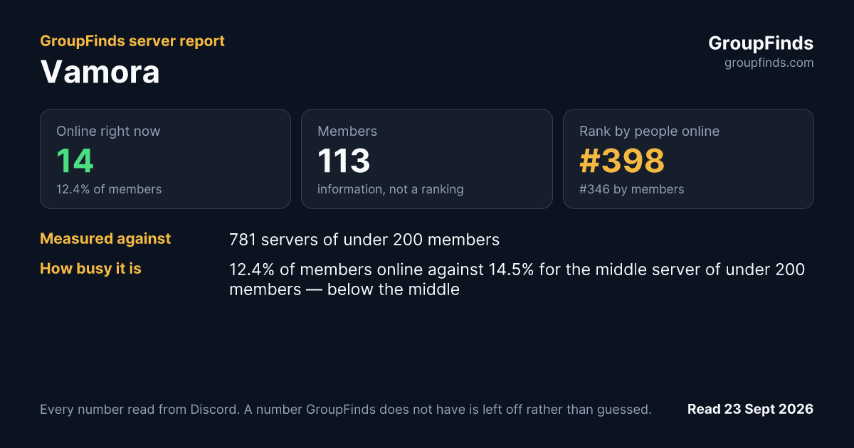 Vamora's GroupFinds server report