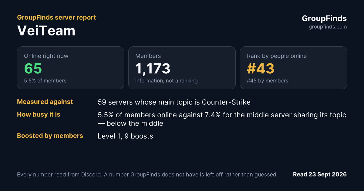 VeiTeam's GroupFinds server report