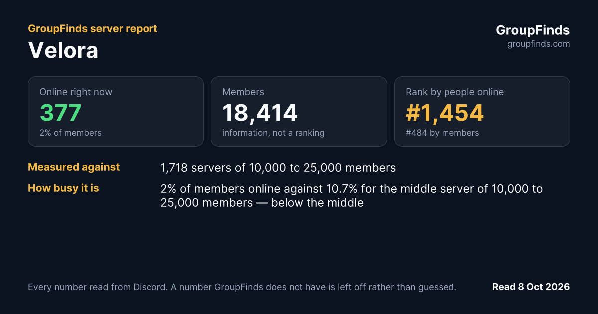 Velora's GroupFinds server report
