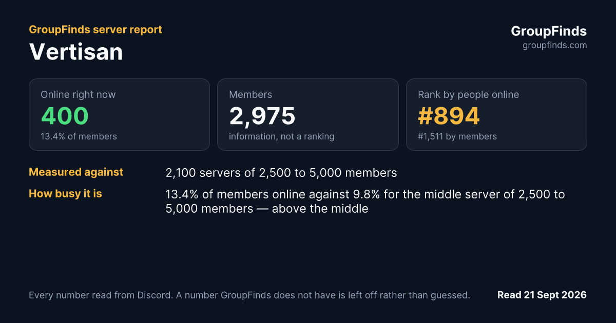 Vertisan's GroupFinds server report