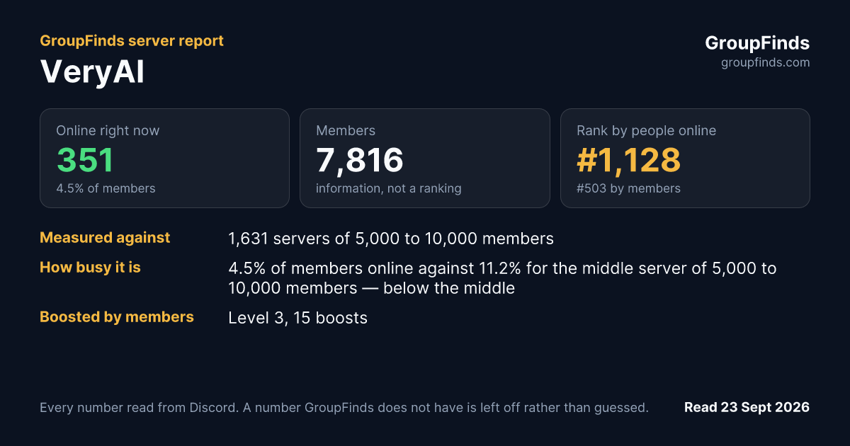 VeryAI's GroupFinds server report