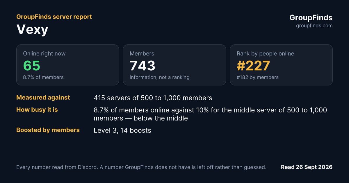 Vexy's GroupFinds server report