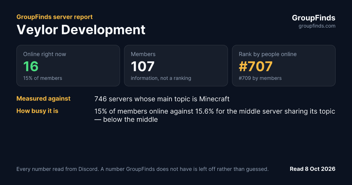 Veylor Development's GroupFinds server report
