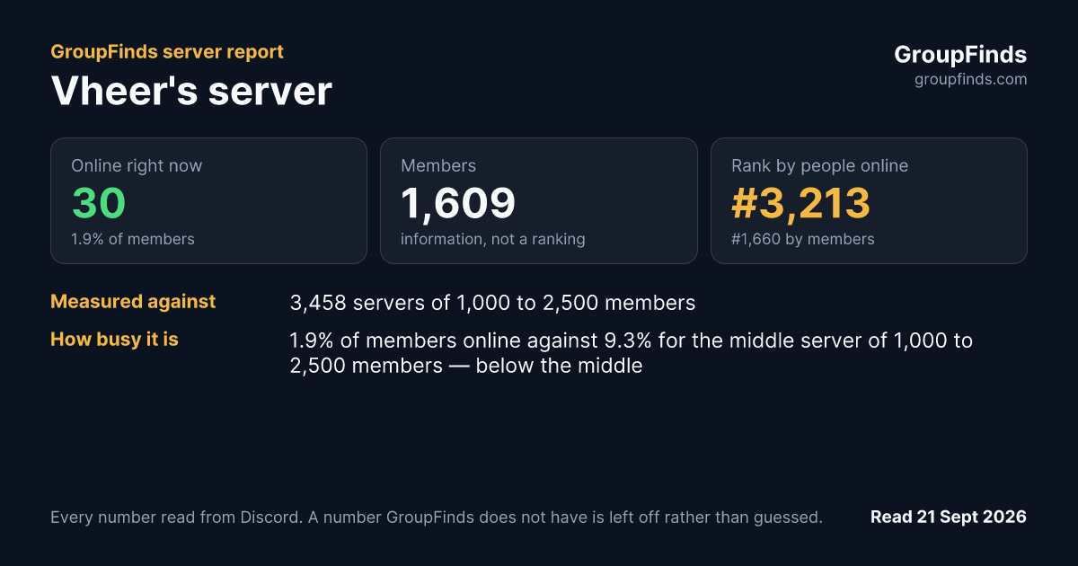 Vheer's server's GroupFinds server report