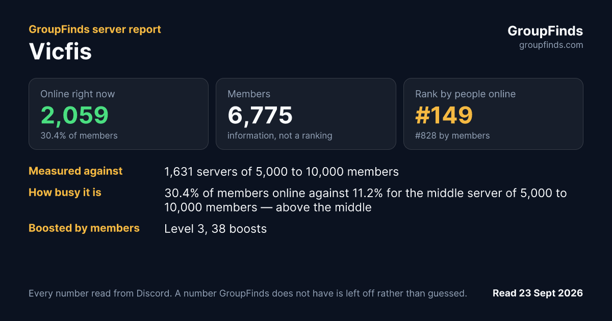 Vicfis's GroupFinds server report