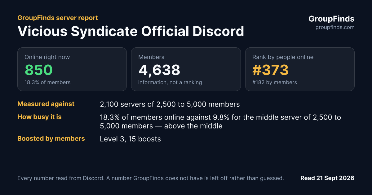 Vicious Syndicate Official Discord's GroupFinds server report