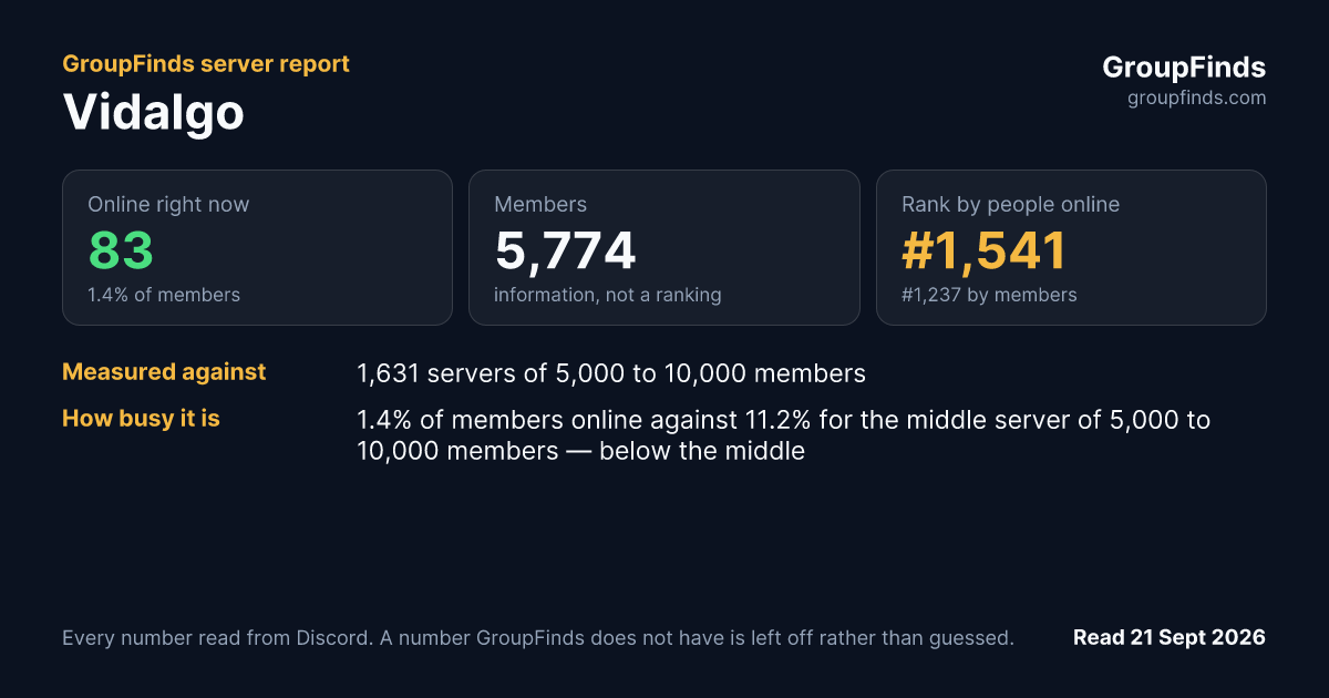 Vidalgo's GroupFinds server report