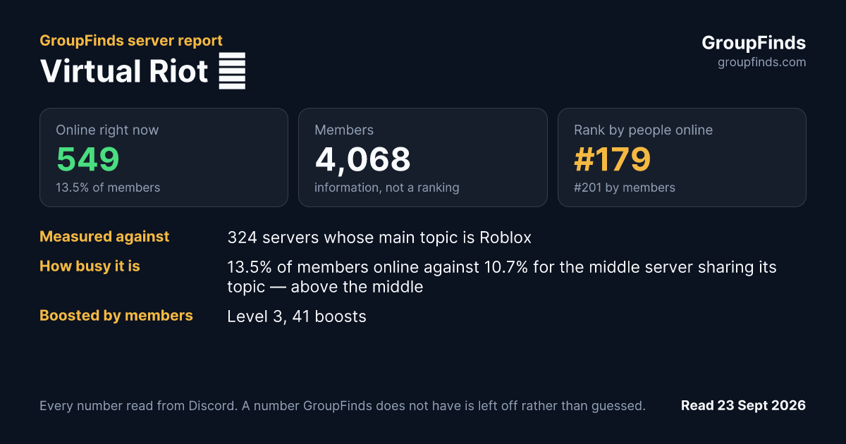Virtual Riot 💀's GroupFinds server report