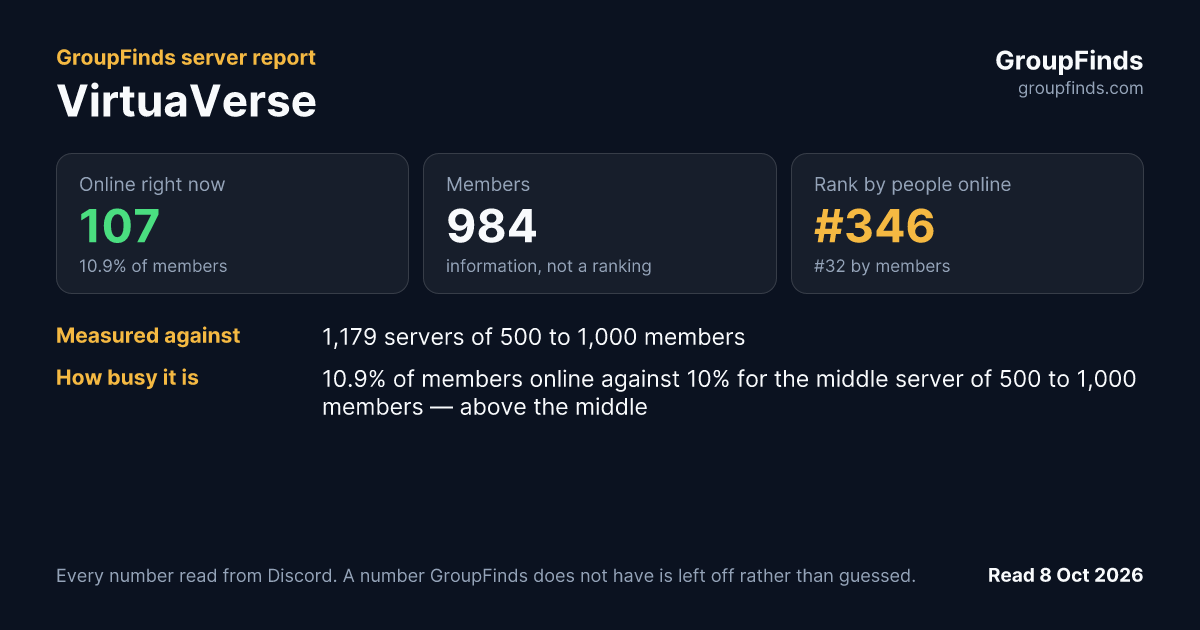 VirtuaVerse's GroupFinds server report