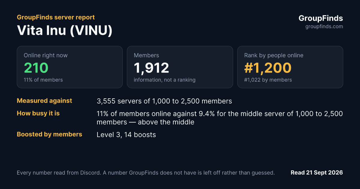 Vita Inu (VINU)'s GroupFinds server report