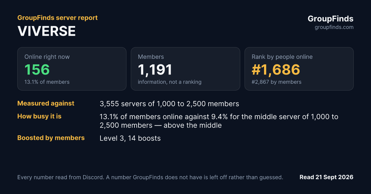 VIVERSE's GroupFinds server report